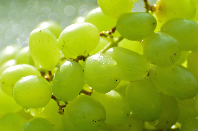 hroznové víno, zelené
