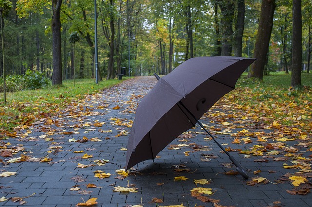 deštník na chodníku