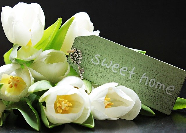 tulipány, nápis sweet home